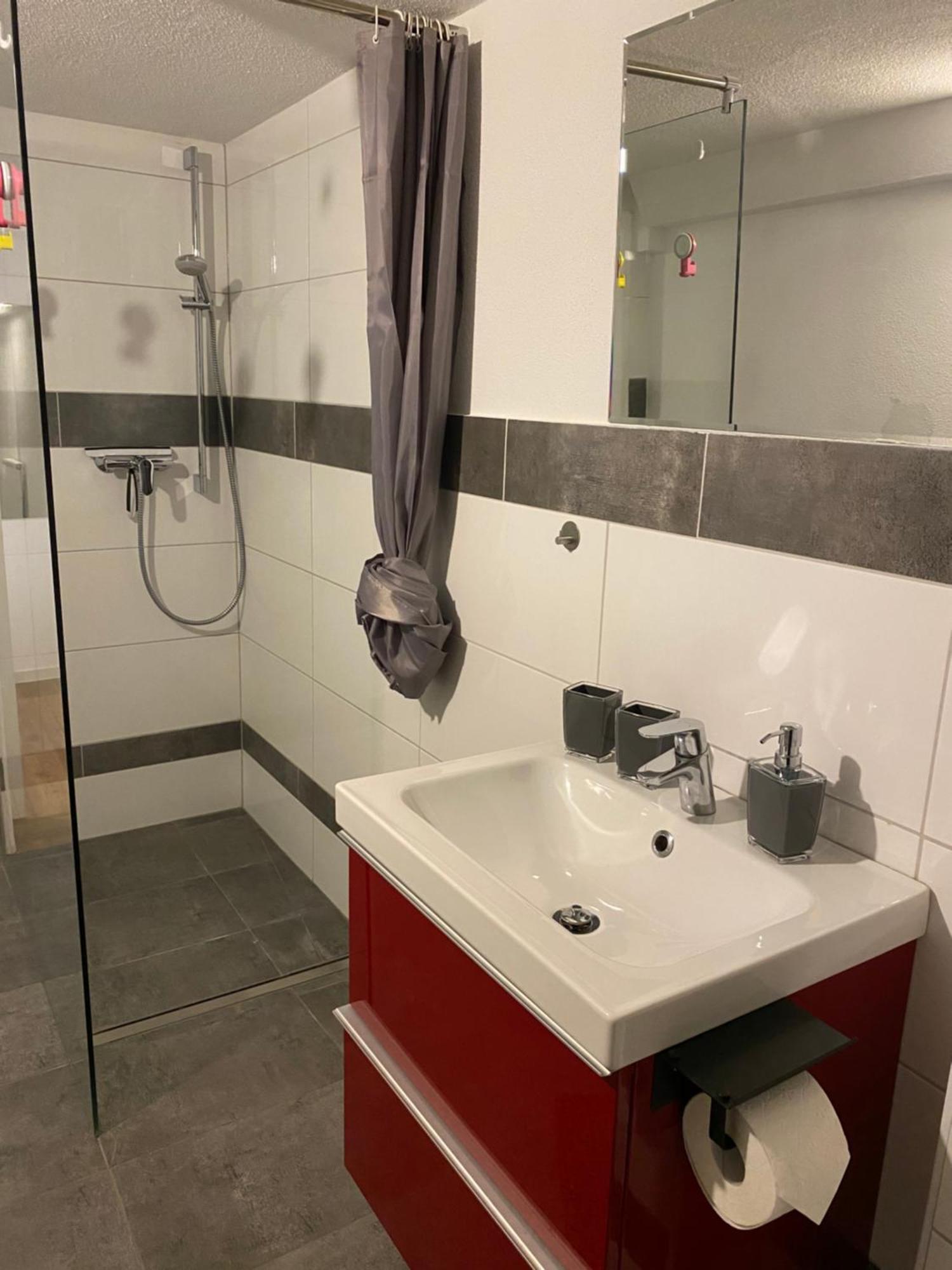 Apartment Roomy Comfort - Zwischen Heidelberg Und Mannheim Edingen-Neckarhausen 外观 照片