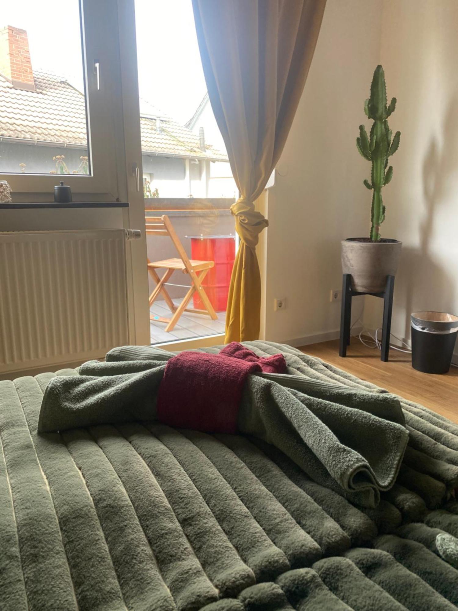 Apartment Roomy Comfort - Zwischen Heidelberg Und Mannheim Edingen-Neckarhausen 外观 照片