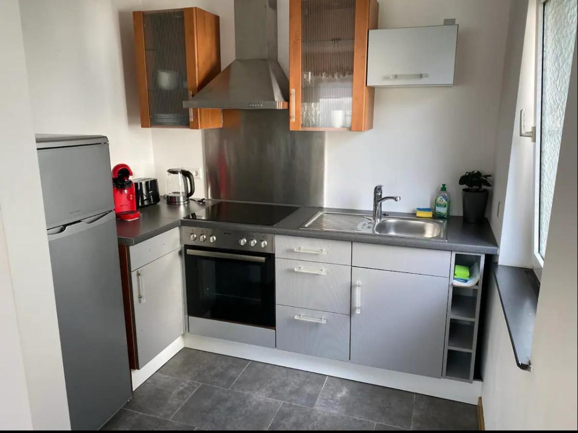 Apartment Roomy Comfort - Zwischen Heidelberg Und Mannheim Edingen-Neckarhausen 外观 照片