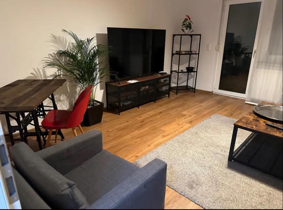 Apartment Roomy Comfort - Zwischen Heidelberg Und Mannheim Edingen-Neckarhausen 外观 照片