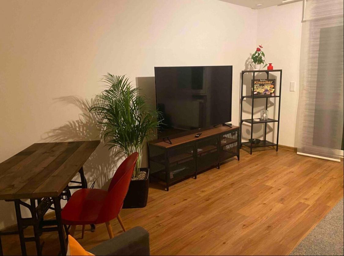 Apartment Roomy Comfort - Zwischen Heidelberg Und Mannheim Edingen-Neckarhausen 外观 照片