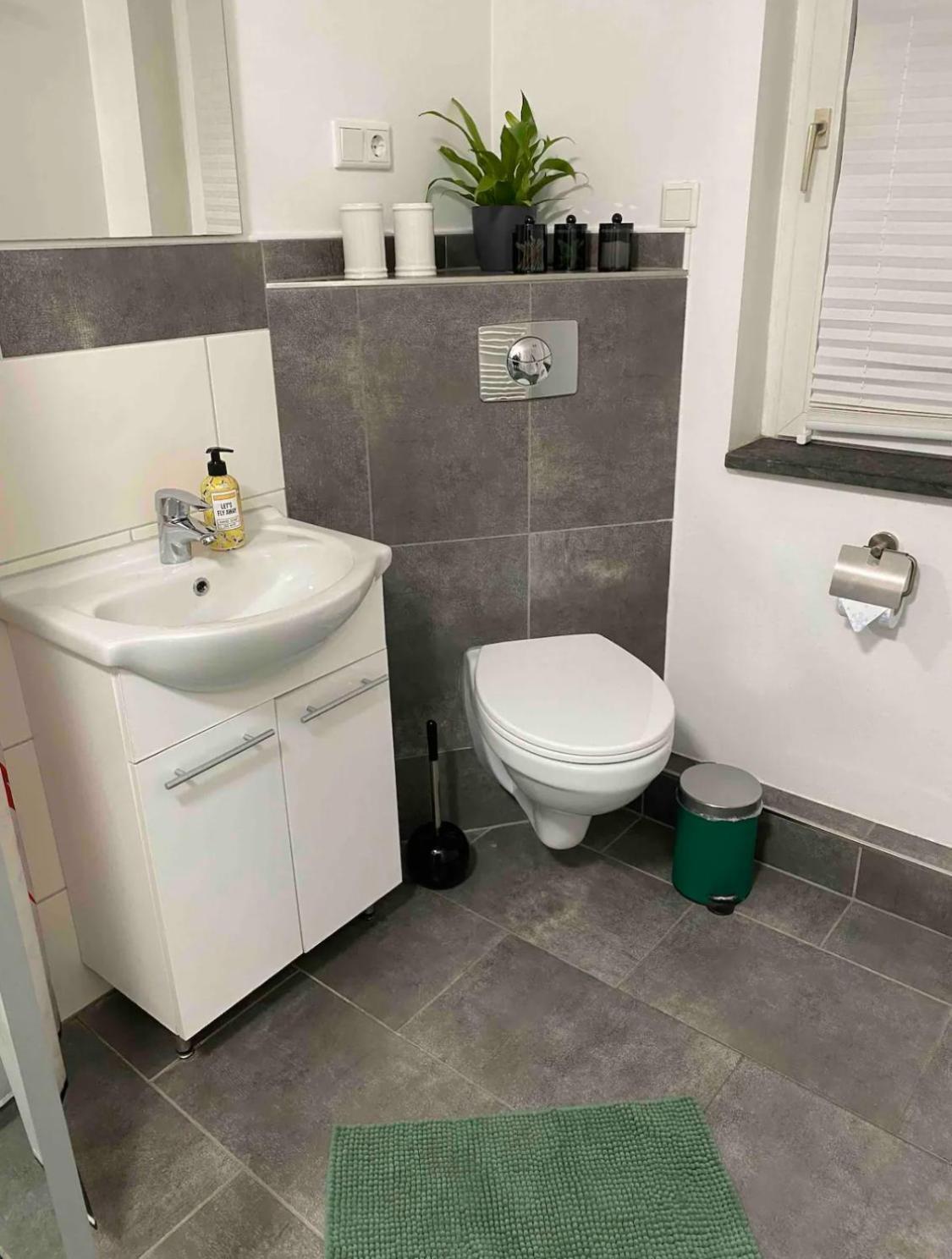 Apartment Roomy Comfort - Zwischen Heidelberg Und Mannheim Edingen-Neckarhausen 外观 照片