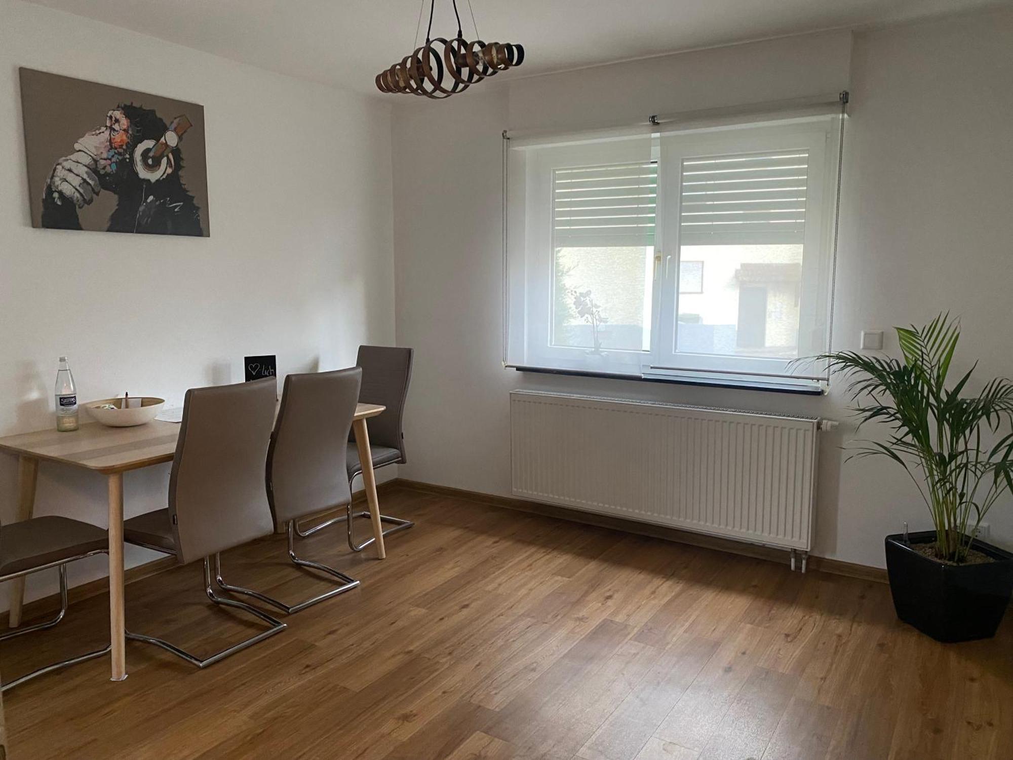 Apartment Roomy Comfort - Zwischen Heidelberg Und Mannheim Edingen-Neckarhausen 外观 照片